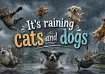 raining cats and dogs