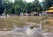 Of the total deaths in Nepal, 18 bodies have been 