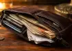 vastu wallet