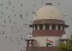 supreme court