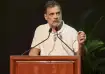 Congress MP Rahul Gandhi