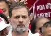 Congress MP Rahul Gandhi 