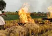 Stubble burning cases surge in MP and Rajasthan.