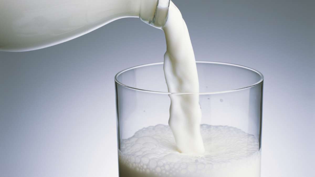 2 Out Of 3 Indians Drink Adulterated Milk New Kit To Detect In 40 Seconds India Tv