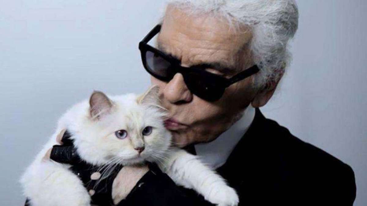 Will Karl Lagerfeld’s cat Choupette inherit his wealth worth millions ...