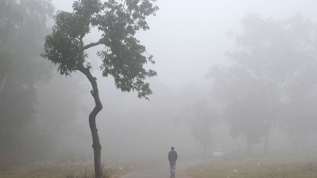 Delhi temperature today, Weather forecast, Delhi weather cold wave ...