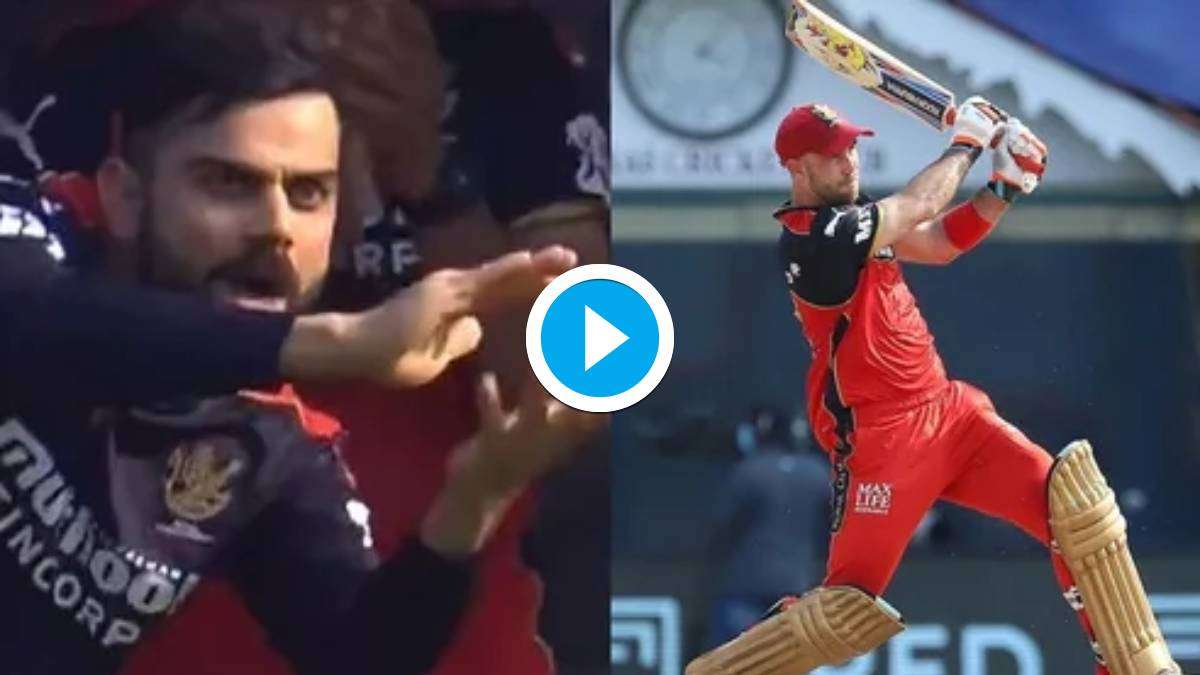 RCB vs KKR | Watch: Virat Kohli turns cheerleader as Glenn Maxwell hits ...