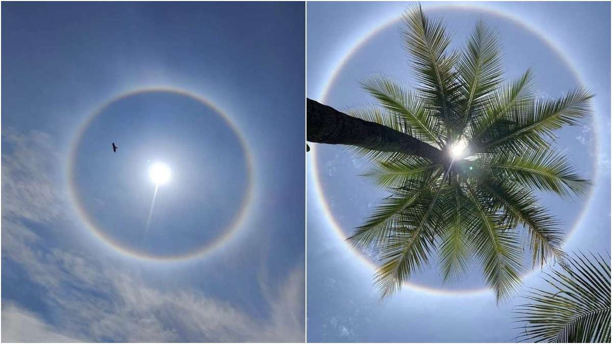Sun Halo or a rainbow-colored ring around the sun. Sunny sky with sun halo.  Optical phenomenon produced by light. Cirrus or cirrostratus clouds in the  troposphere with light refraction and reflection. -