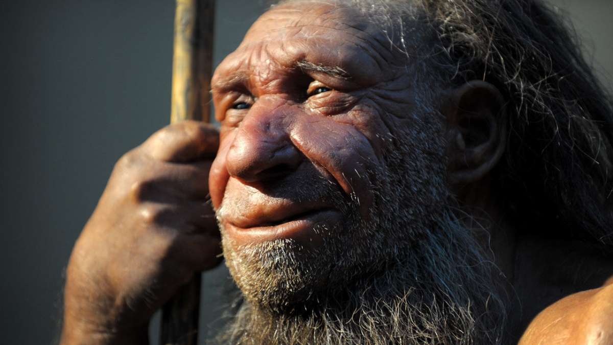 'Dragon Man' discovered in China represents new type of human species ...