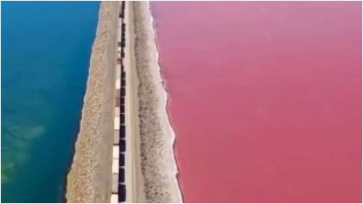 Utah's Great Salt Lake turns bright blue and pink in colour and the  internet is mesmerised by nature's beauty – India TV