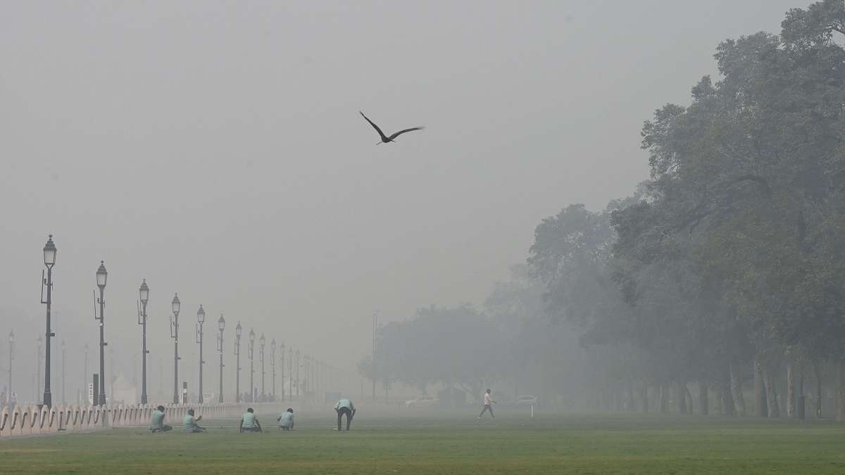 Centre orders removal of GRAP Stage-IV curbs in Delhi-NCR