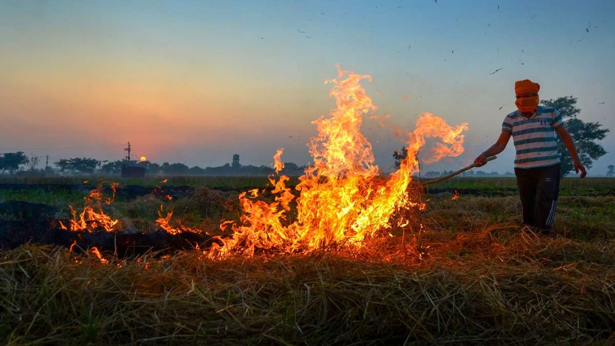 Stubble burning in Punjab, Punjab farmers, Supreme Court on stubble burning, air pollution
