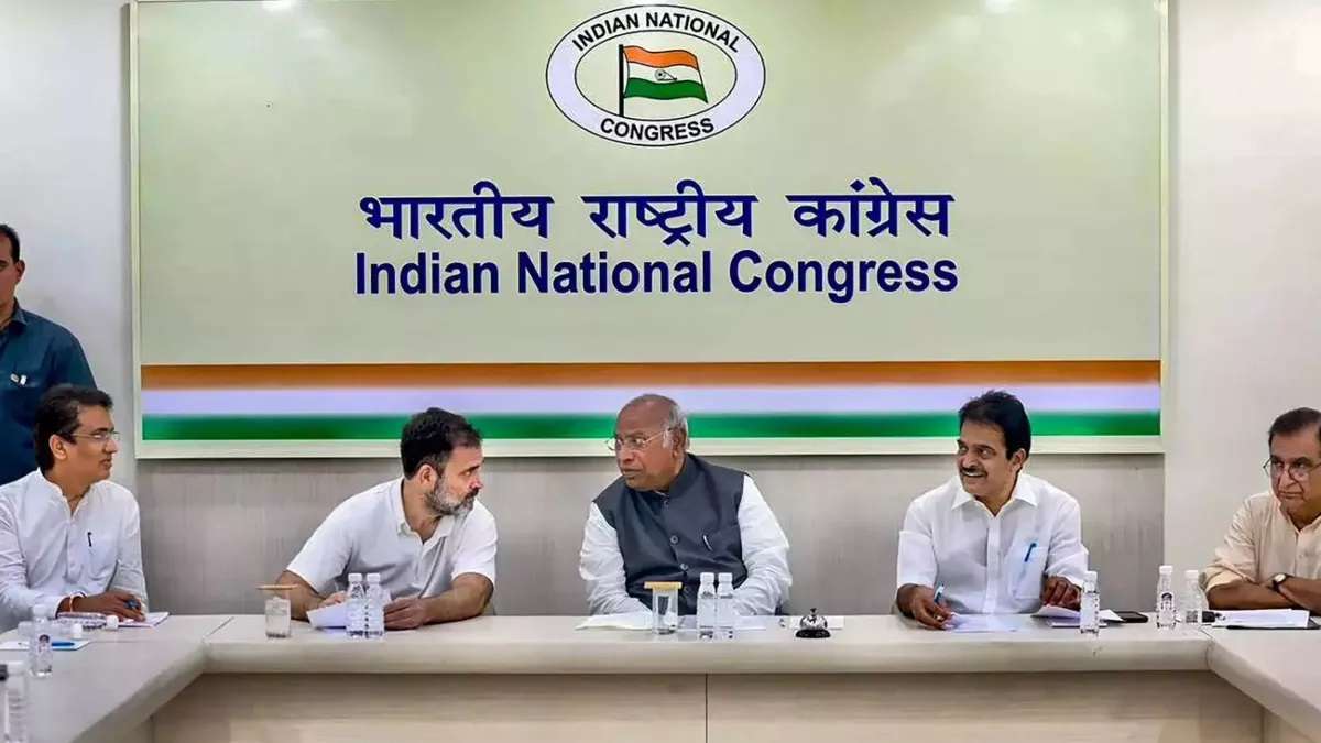 National Alliance Committee, Congress