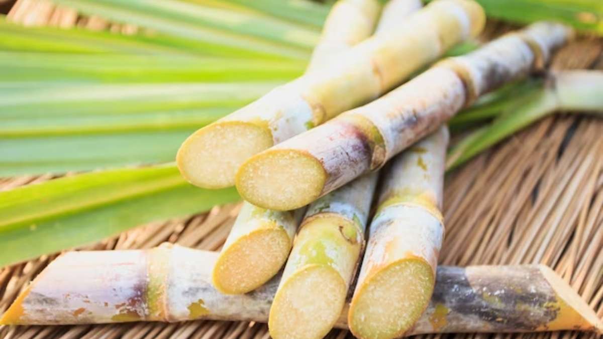 Government directs sugar mills to not use sugarcane juice for ethanol production | Here’s why