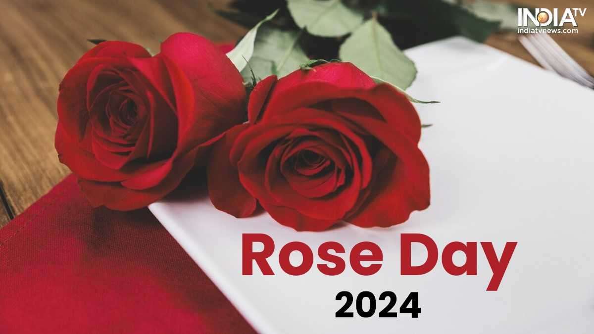 Why do we celebrate Rose Day on this date? Know history and