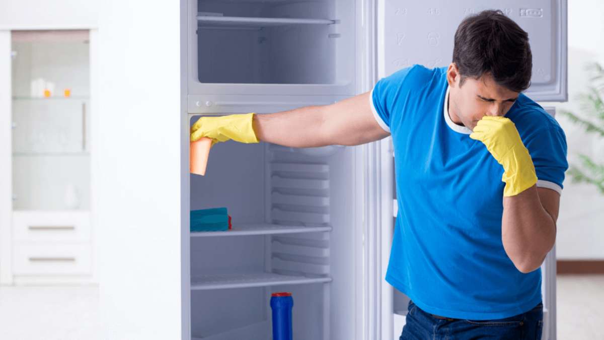 5 simple tips to get rid of Foul smell in fridge