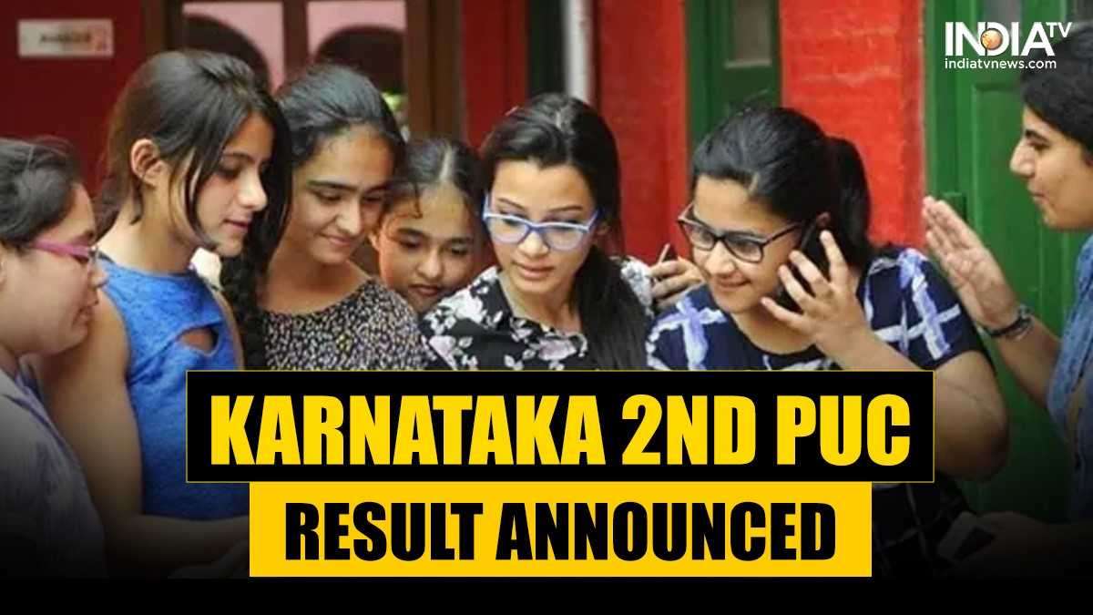 Karnataka 2nd PUC Result 2024 download link
