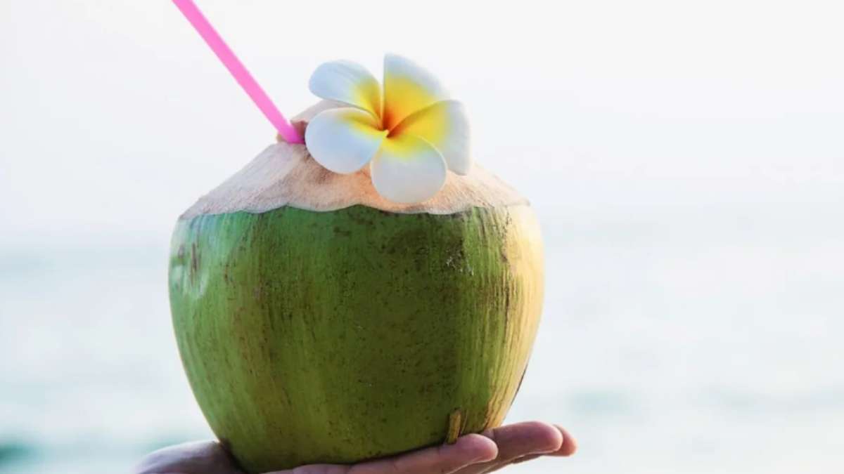 Coconut Water: Incredible health benefits and best time to consume the  summer drink – India TV