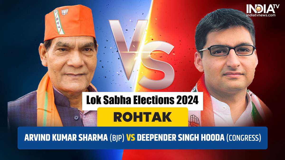 Rohtak Lok Sabha Election 2024, 
