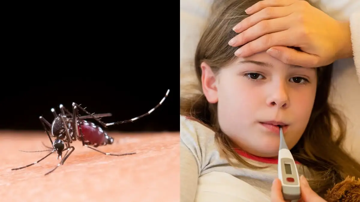 Dengue Cases Among Children Rising In India, Doctors Warn Of Severe Health Risks