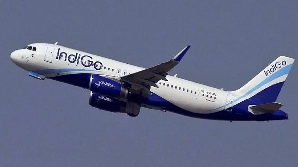 IndiGo flight (Representational picture)