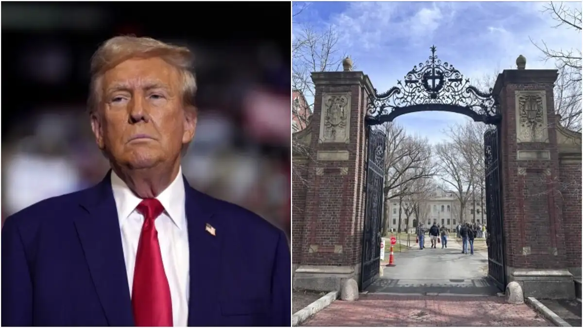 Trump administration targets Harvard University over defiance, freezes USD  2.2 billion in grants | World News – India TV