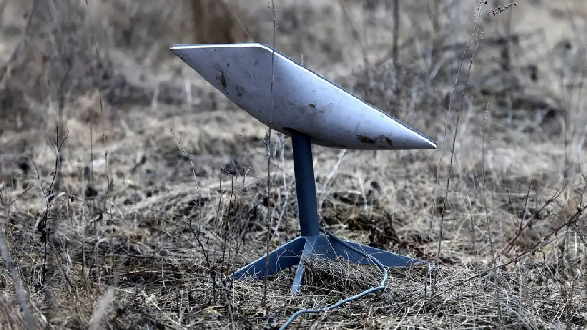 ディズニー How it Works in thecountry ディズニー How it Works in thecountry DISNEY MALDIVES 2142