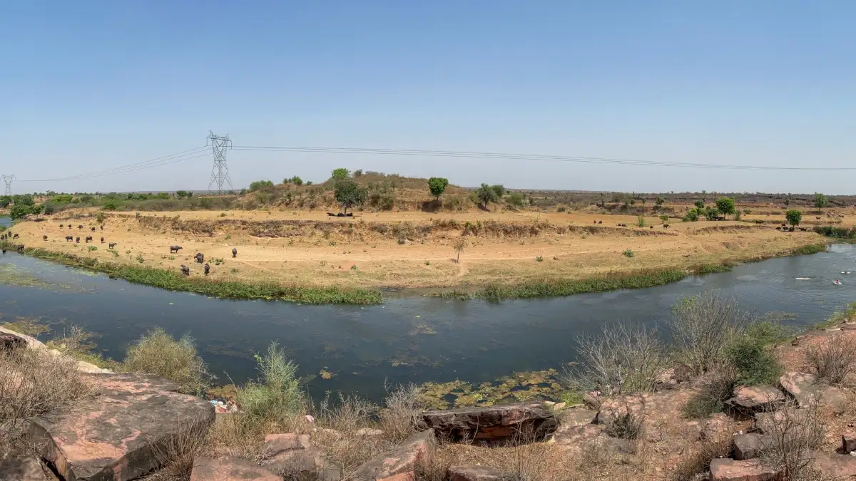Rajasthan scorches as Shri Ganganagar records India's highest temperature  of 2025, nears 50 degrees Celsius | India News – India TV