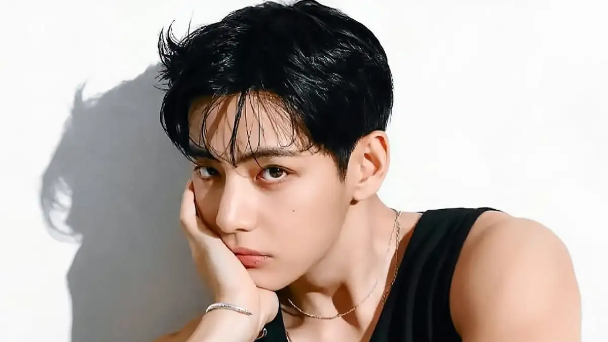BTS' V puts Indian label in global spotlight with effortless look