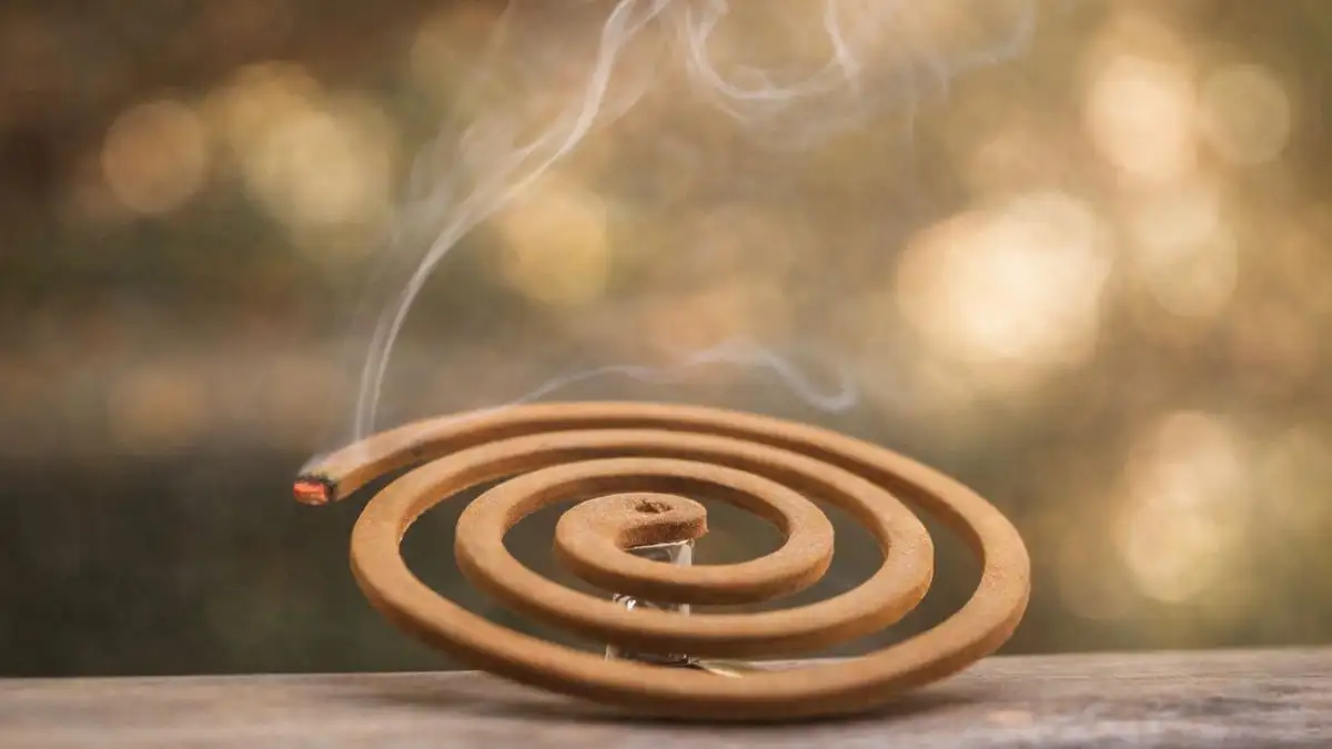cigarette smoke mosquitoes Toxic Time Bomb: The Dangers of Discarded Butts Mosquitoes Use Smell to See