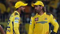 MS Dhoni in, Shardul Thakur out; players CSK can retain ahead of IPL 2025 mega auctions