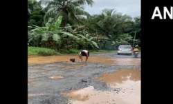 A man in Malappuram protested against potholes on roads in