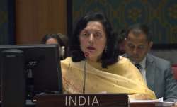 India expresses concern over reports of shelling near Ukraine nuclear power plant, UN Security Counc