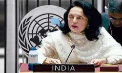 India's Permanent Representative to the United Nations,