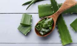 Ways to preserve Aloe Vera gel 