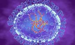 Human metapneumovirus is an infection that affects the upper and lower respiratory tract.