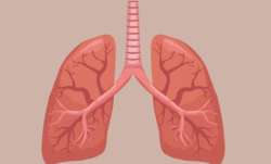 Ayurvedic diet tips for healthy lungs