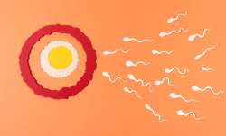 Infertility and Sub-Fertility