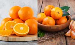 Oranges and Tangerine