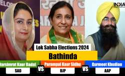 Bathinda, Lok Sabha elections 2024