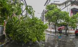 Cyclone Remal creates havoc in Northeast 