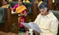 Telugu Desam Party chief and Andhra Pradesh Chief Minister