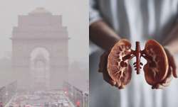 Air pollution can affect kidney health