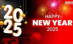 Happy New Year 2025: Wishes, messages and images