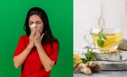 Try this herbal tea to get relief from stuffy nose