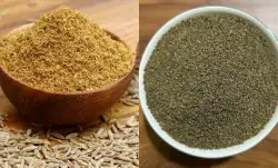 cumin and celery powder at night 