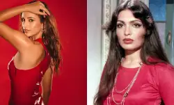 Triptii Dimri to feature Parveen Babi's biopic?