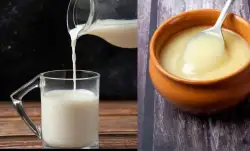 Milk and Ghee: Know when and how much to consume