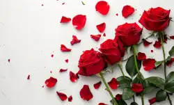 Rose Day 2025: Unique gift ideas for your partner