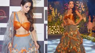Amid wedding rumours with her actor boyfriend Arjun Kapoor,
